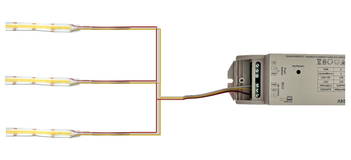 Blog - LedStore Blog - LedStore