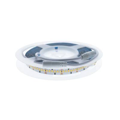 Tira de luces LED en rollo, con conectores visibles y fondo blanco. Solución de iluminación de bajo consumo.