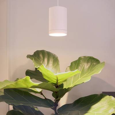 Suspended LED plant light FOKUS - Dimmable 30W, 5 step CCT 2700K-6000K, matte white, CRI98
