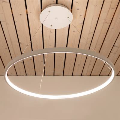 LED LIGHT RINK 60, 5-CCT 2800-5300K, regulable, 32W, CRI97, IP21