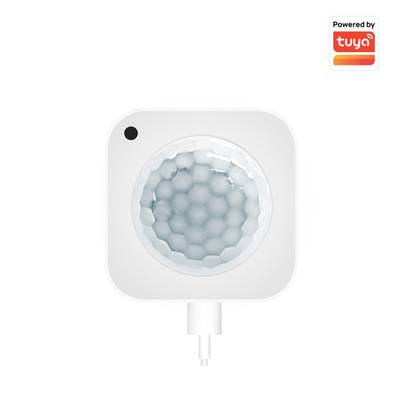 Tuya motion sensor with light sensor