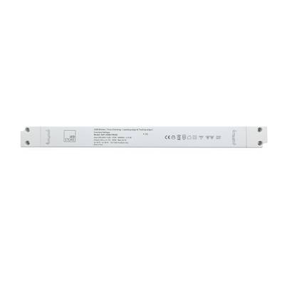 LED transformador estrecho 24V, 100W, TRIAC regulable