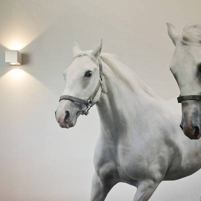 Texto alternativo: 'Mural de dos caballos blancos iluminados por luces LED cálidas a la izquierda, realzando el ambiente del movimiento luminoso.