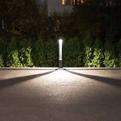 Un camino nocturno iluminado por una única columna de iluminación LED que proyecta largas sombras, rodeado de frondosos arbustos verdes; ideal para iluminación exterior.