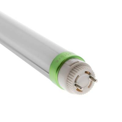 Detalle de tubo fluorescente, cabezal de casquillo anular verde con dos patillas, solución de iluminación energéticamente eficiente