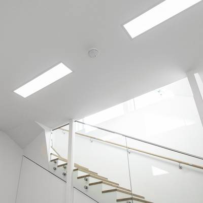 Luz fría diurna DW 5800K