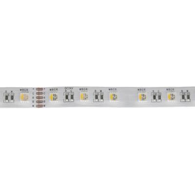 Primer plano de una tira de luz LED flexible blanca con chips LED multicolor. Ideal para iluminación de acento y ambiental en hogares o negocios.