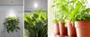 Luces LED para plantas Luces LED para plantas