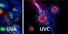 Tira de LED UV Tira de LED UV