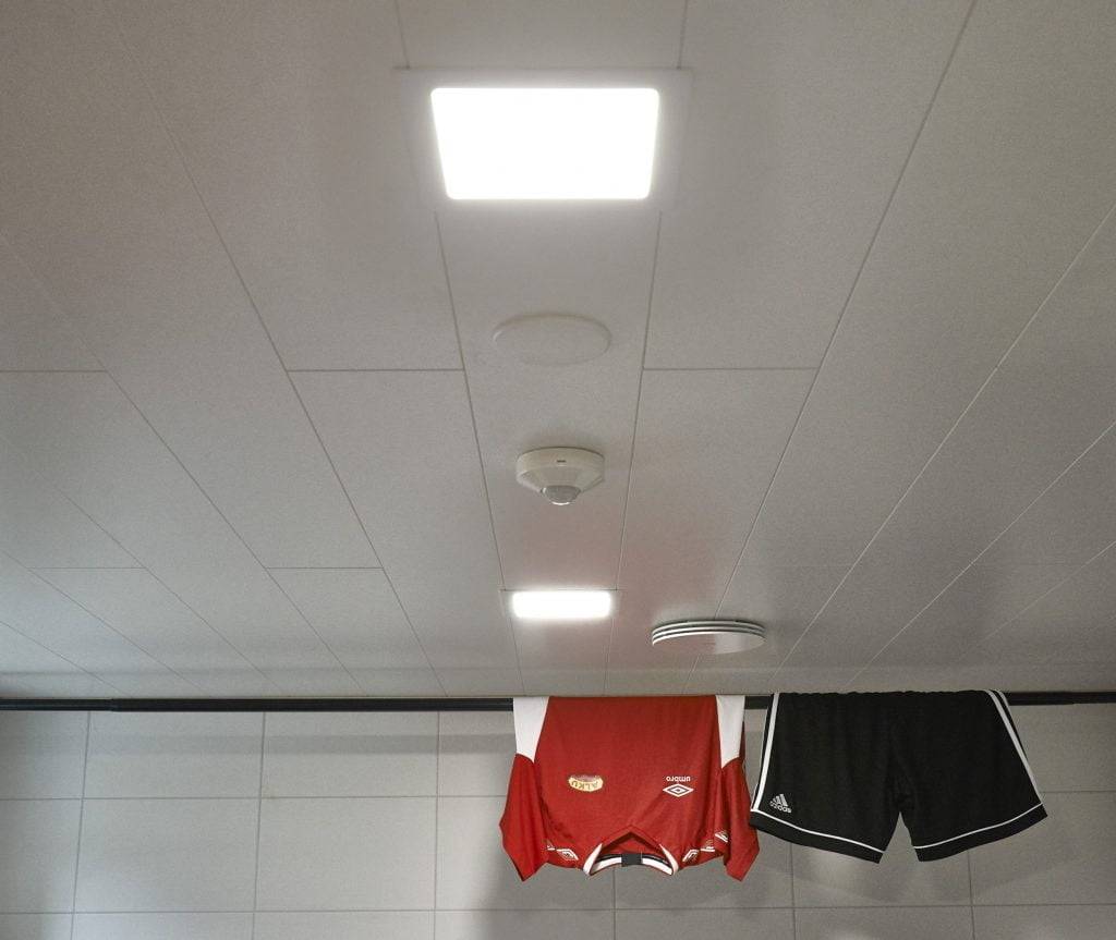 Fondo verde con un contorno cuadrado blanco en el centro y el texto "LED STORE" en su interior, que destaca las soluciones de iluminación energéticamente eficientes.