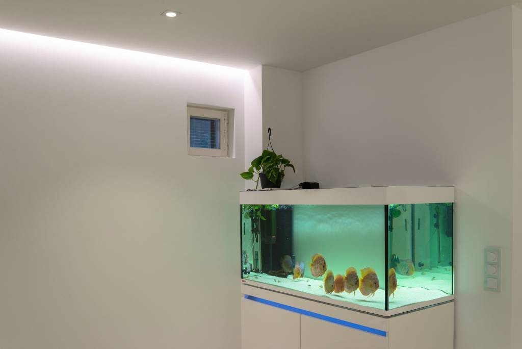 Fondo verde con un cuadrado blanco que muestra "LED STORE" en letras mayúsculas blancas y en negrita en el centro de una promoción de una tienda de iluminación LED.