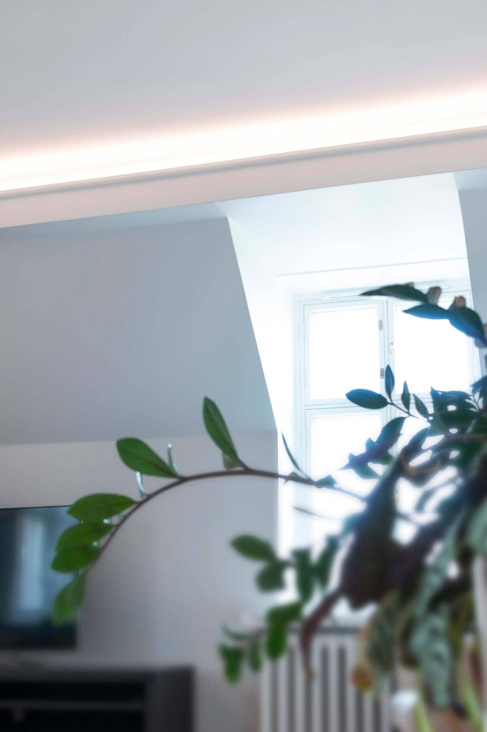 Un fondo verde con un cuadrado blanco que muestra "LED STORE" en letras grandes, destacando el enfoque minorista de la iluminación LED.