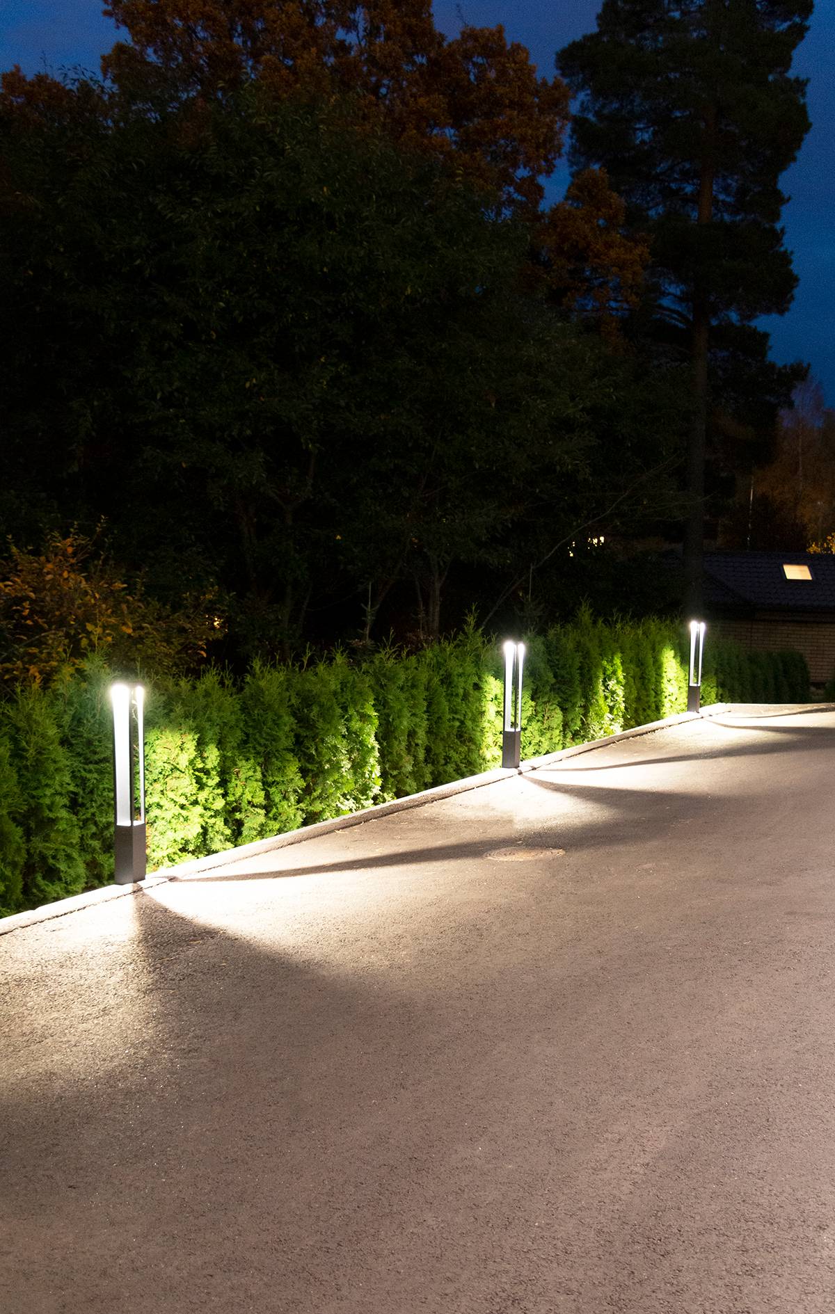 Fondo verde con un cuadrado blanco en el centro con el texto "LED STORE" para soluciones de iluminación energéticamente eficientes.