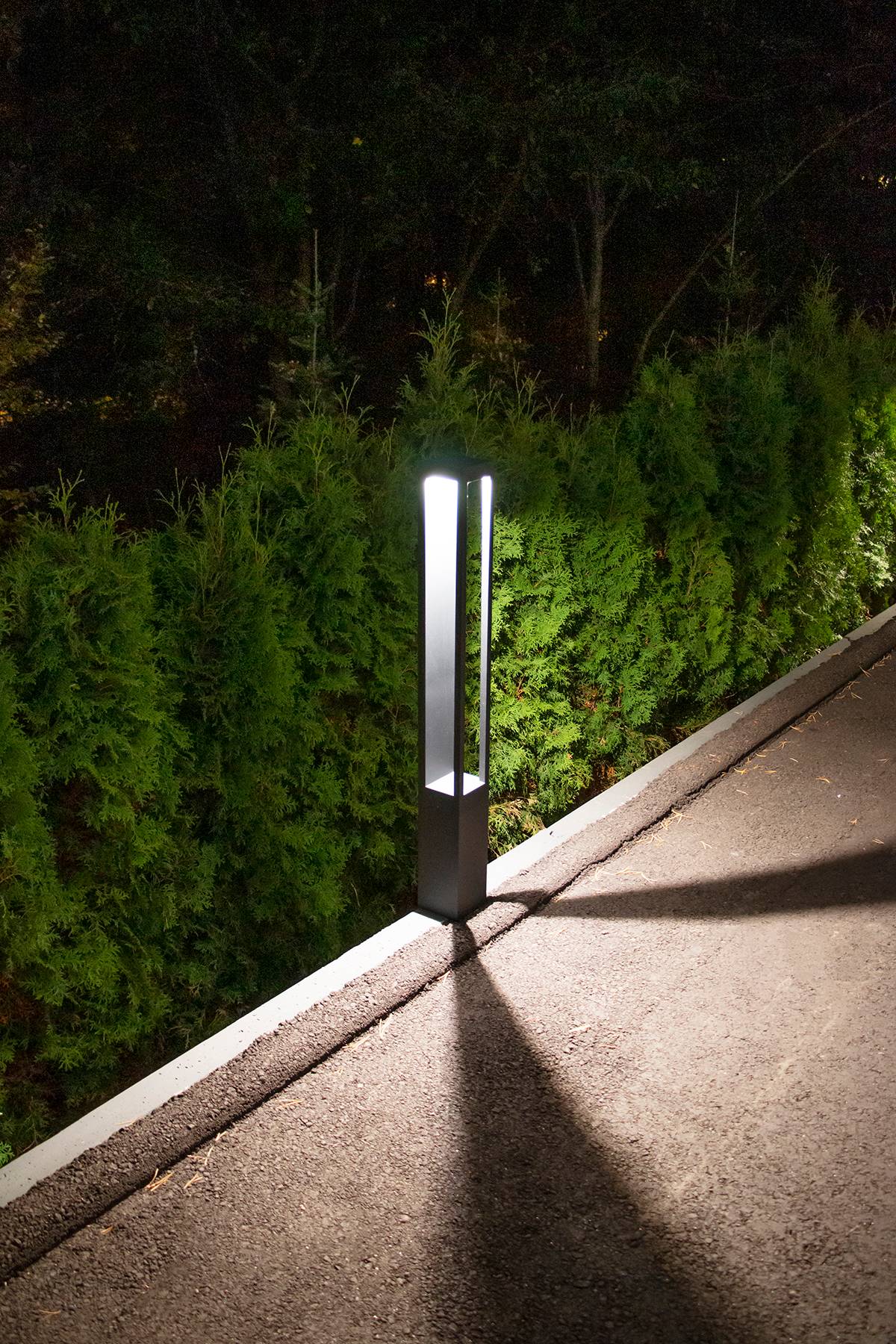 Sobre un fondo verde hay un cuadrado blanco con el texto negro "LED STORE" en negrita en el centro, promoviendo soluciones de iluminación energéticamente eficientes.
