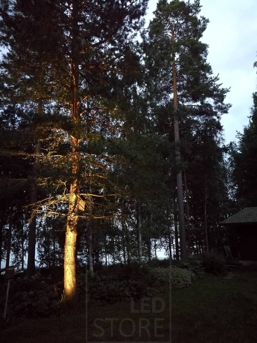 Pico de luz Led en el suelo iluminando y resaltando un árbol. La iluminación es atmosférica e indirecta. Ledstore.fi