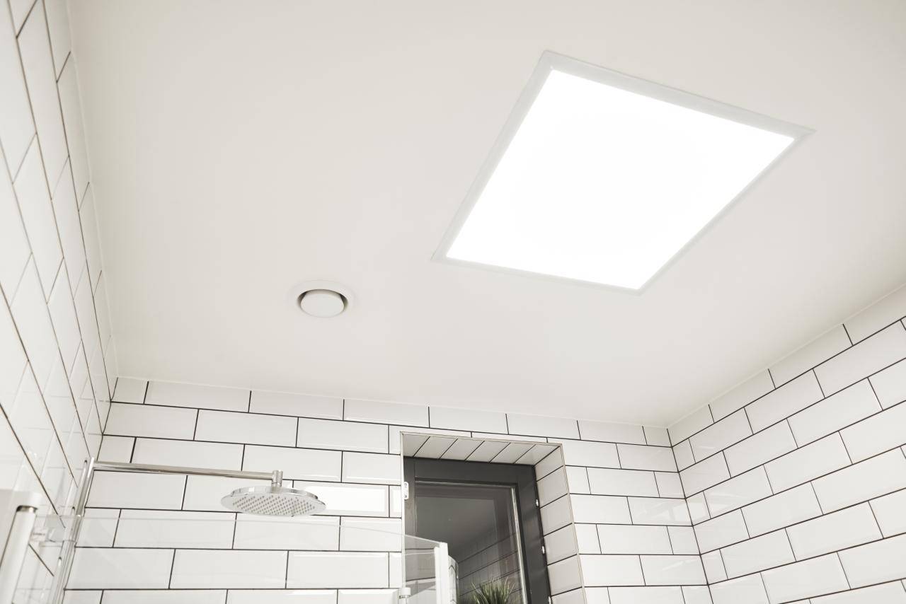 Fondo verde y cuadrado blanco con "LED STORE" - Soluciones de iluminación energéticamente eficientes para el hogar y la empresa.