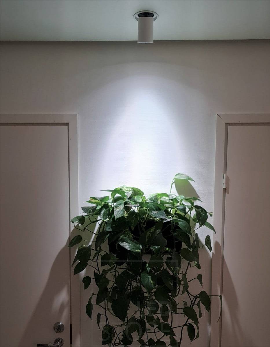 Foco led KOLO dirigido a la planta. Funciona como luz para plantas gracias a su buen índice de reproducción cromática. Ledstore.fi