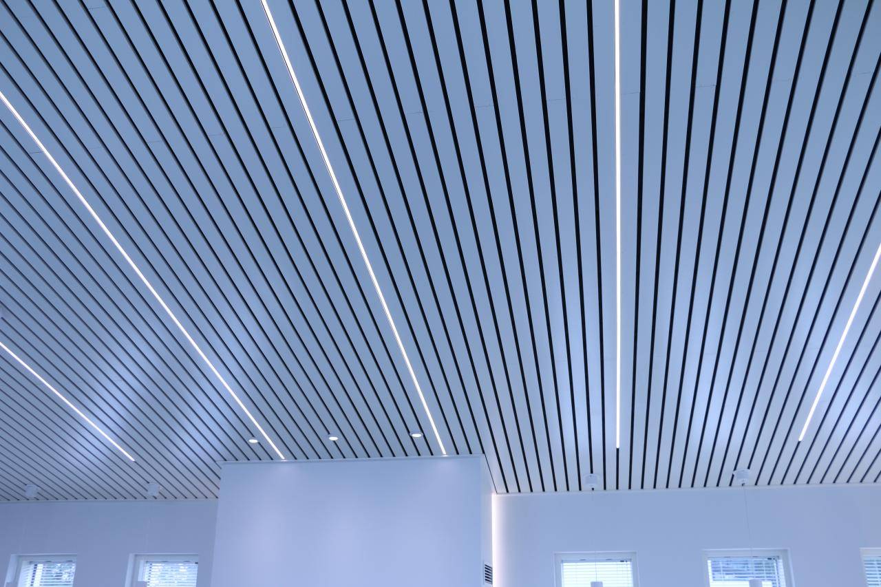 Alttext: "Un fondo verde con un cuadrado blanco en el centro con el texto "LED STORE" en letras blancas y en negrita enfatiza el enfoque de la iluminación LED.