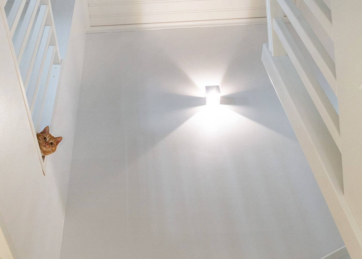 Un gato naranja se asoma por la escalera; un aplique LED crea sombras estrelladas y añade un ambiente acogedor a la escalera blanca.