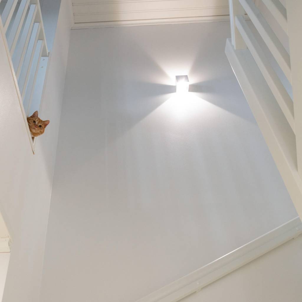 Crea ambiente con la luz LED, incluso con el aplique FUNK