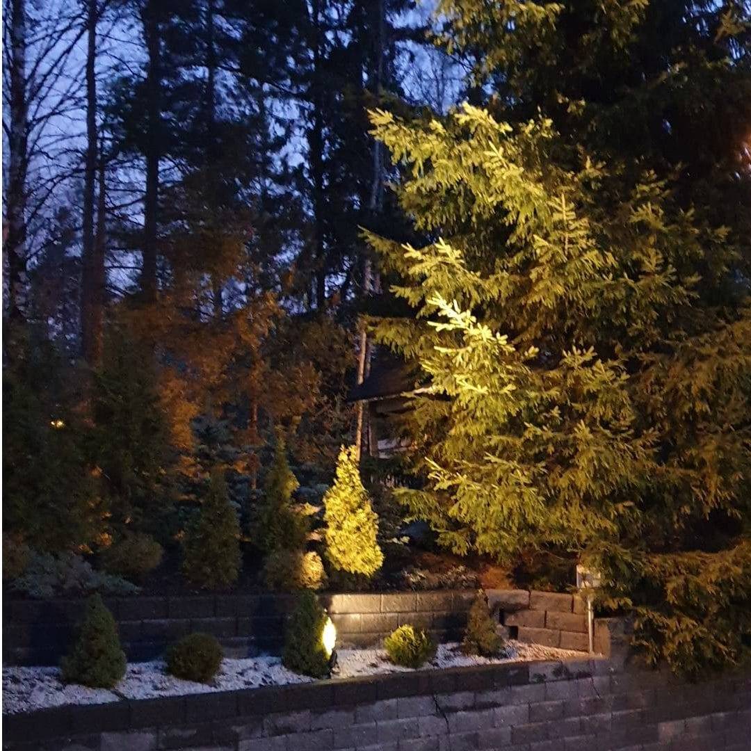 Área de plantación iluminada con SPIKE LedStore.fi