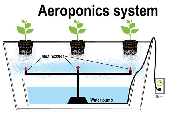 Cultivo aeropónico