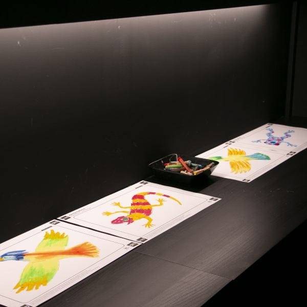 Actuación de Led Ribbon en la exposición Amos Rex