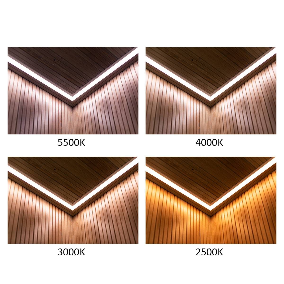 Un fondo verde con un cuadrado blanco con el texto "LED STORE" en blanco promociona soluciones de iluminación LED respetuosas con el medio ambiente.