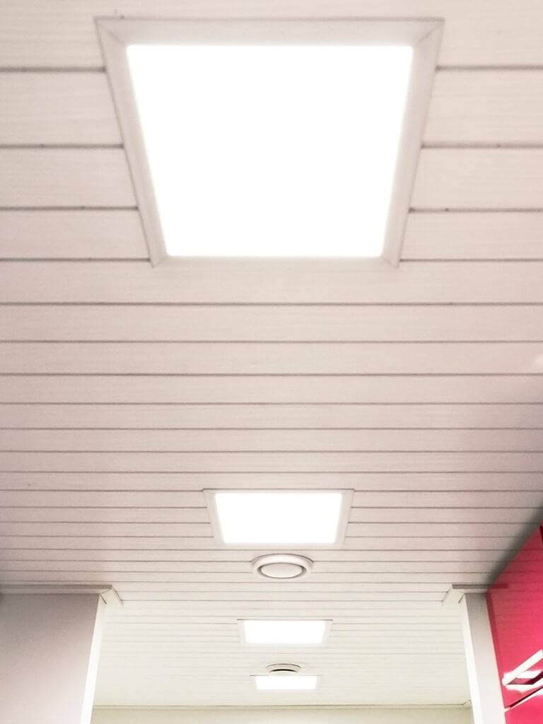 Imagen de un fondo verde con un cuadrado blanco en el centro con las letras mayúsculas "LED STORE" en negrita. Perfecto para los amantes de la iluminación LED y los compradores.